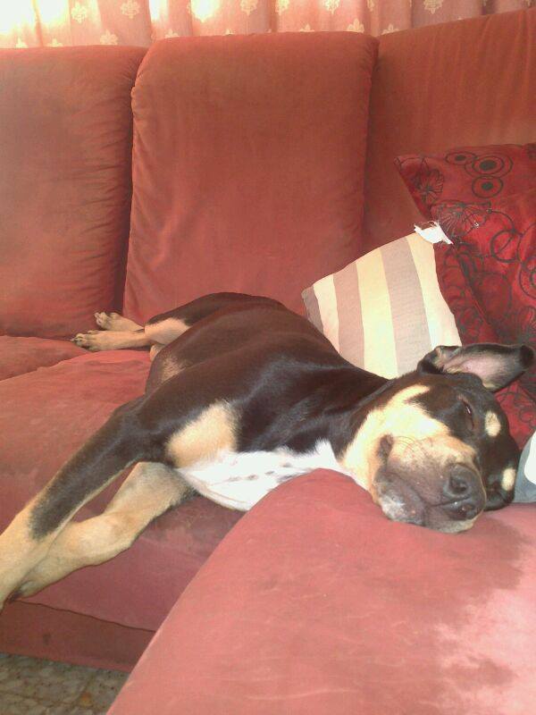 1383641_166144576919581_1624087661_n